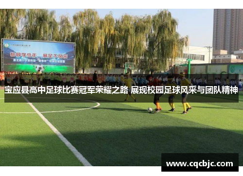 宝应县高中足球比赛冠军荣耀之路 展现校园足球风采与团队精神